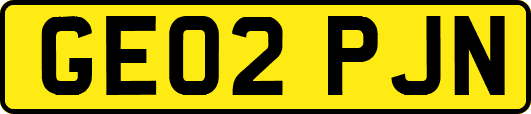 GE02PJN
