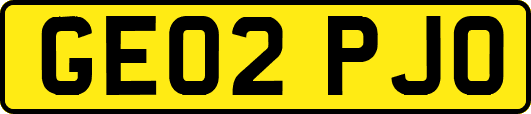 GE02PJO