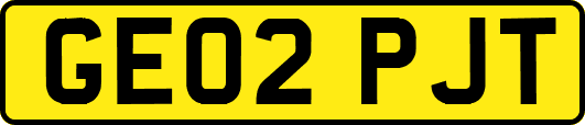 GE02PJT