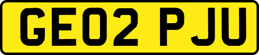 GE02PJU
