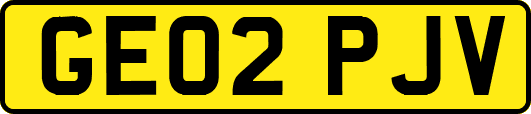 GE02PJV