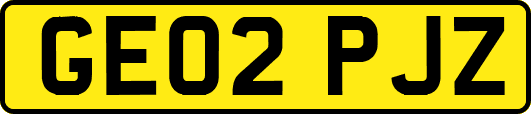 GE02PJZ