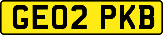 GE02PKB