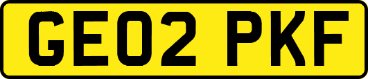 GE02PKF