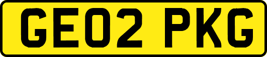 GE02PKG