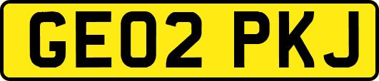 GE02PKJ