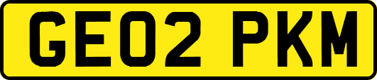 GE02PKM