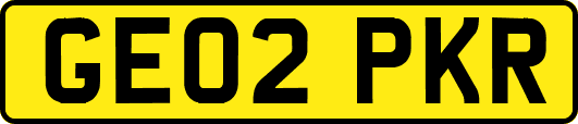 GE02PKR