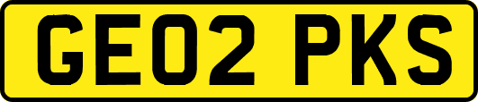 GE02PKS