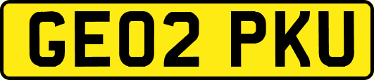 GE02PKU