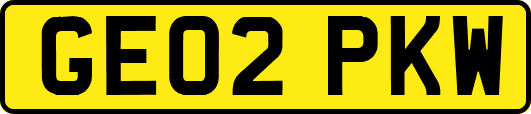 GE02PKW