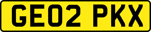 GE02PKX