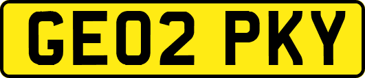 GE02PKY