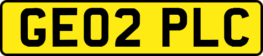 GE02PLC