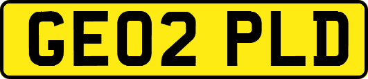 GE02PLD