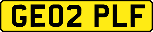 GE02PLF