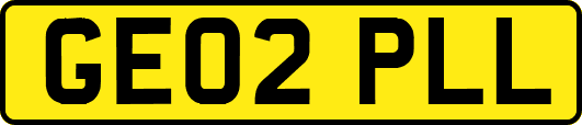 GE02PLL
