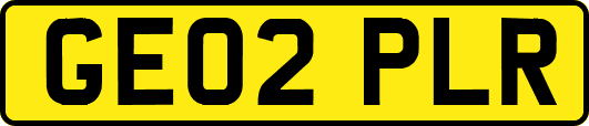 GE02PLR