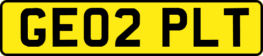 GE02PLT