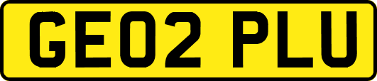 GE02PLU