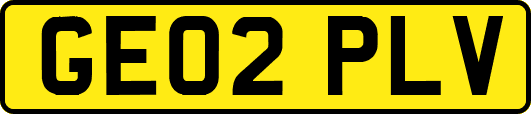 GE02PLV
