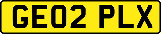 GE02PLX