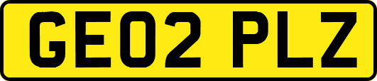 GE02PLZ