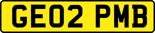 GE02PMB
