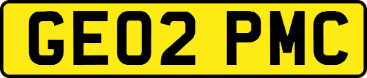GE02PMC
