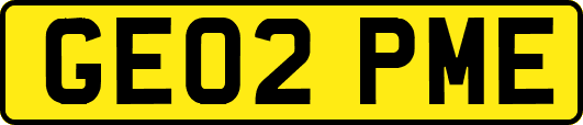 GE02PME