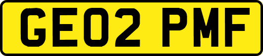 GE02PMF