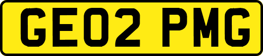 GE02PMG
