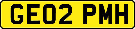 GE02PMH