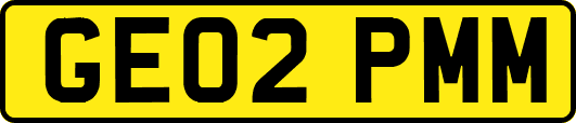 GE02PMM