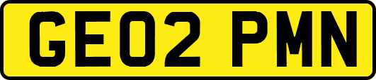 GE02PMN