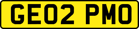 GE02PMO