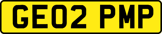 GE02PMP