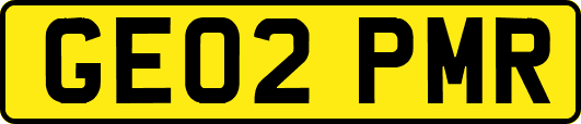 GE02PMR
