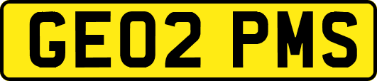 GE02PMS