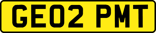 GE02PMT