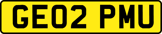GE02PMU