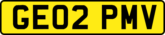 GE02PMV