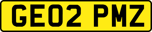 GE02PMZ