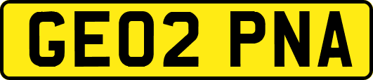 GE02PNA
