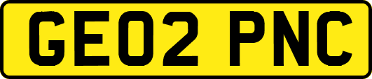 GE02PNC