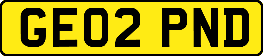 GE02PND