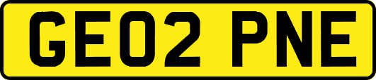 GE02PNE