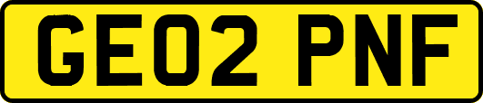 GE02PNF