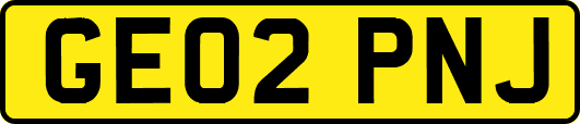 GE02PNJ