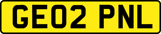 GE02PNL